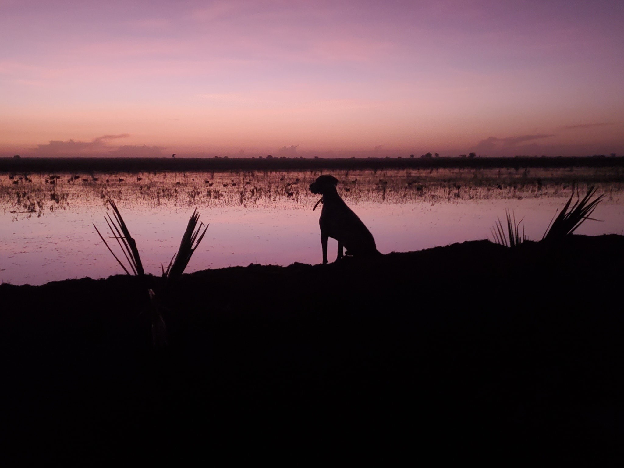 Sun rise teal 19.jpg