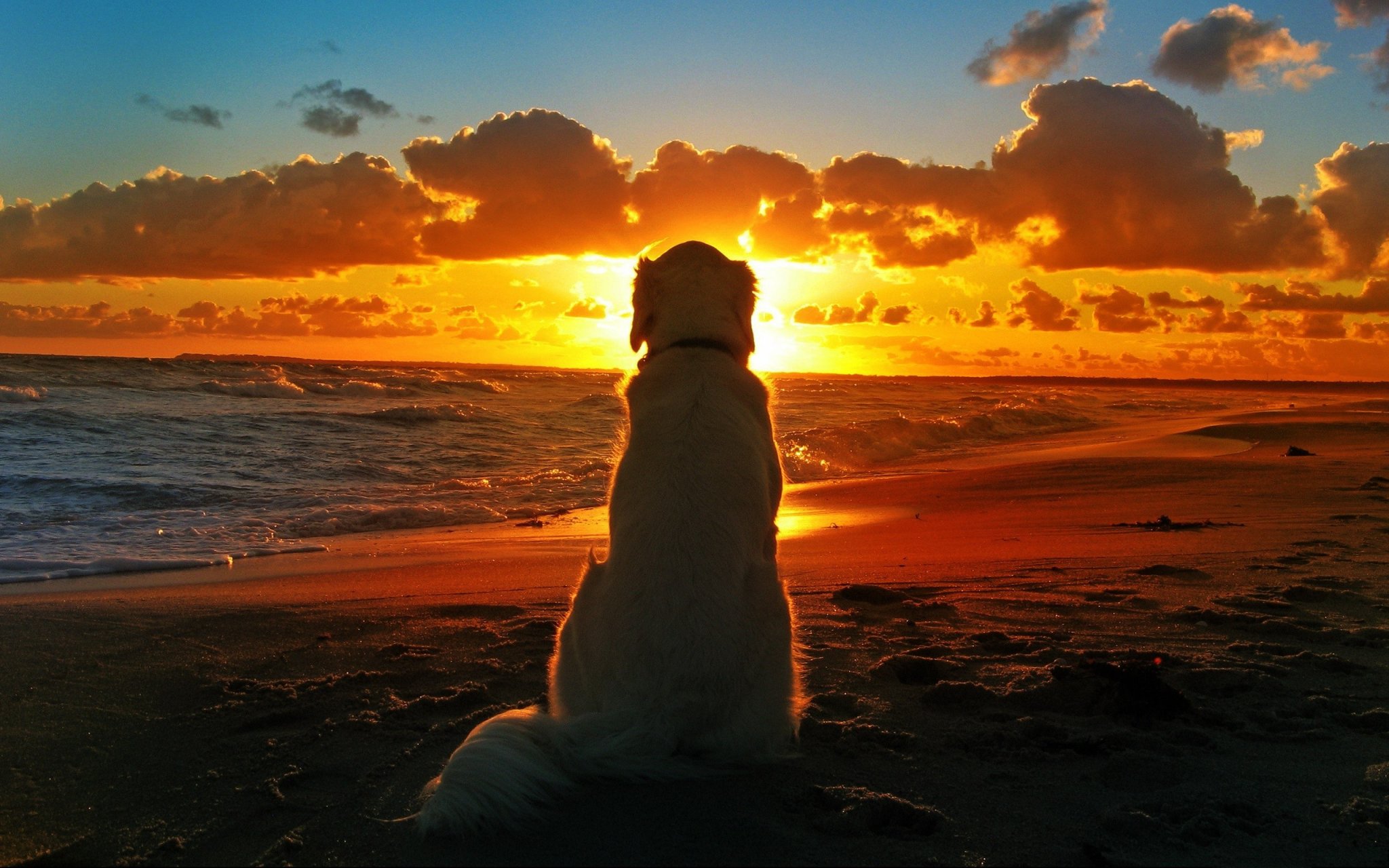 sunlight-depth-of-field-sunset-sea-shore-sand-clouds-beach-sunrise-evening-morning-waves-coast...jpg