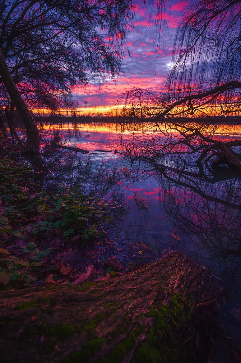 sunset color.jpeg