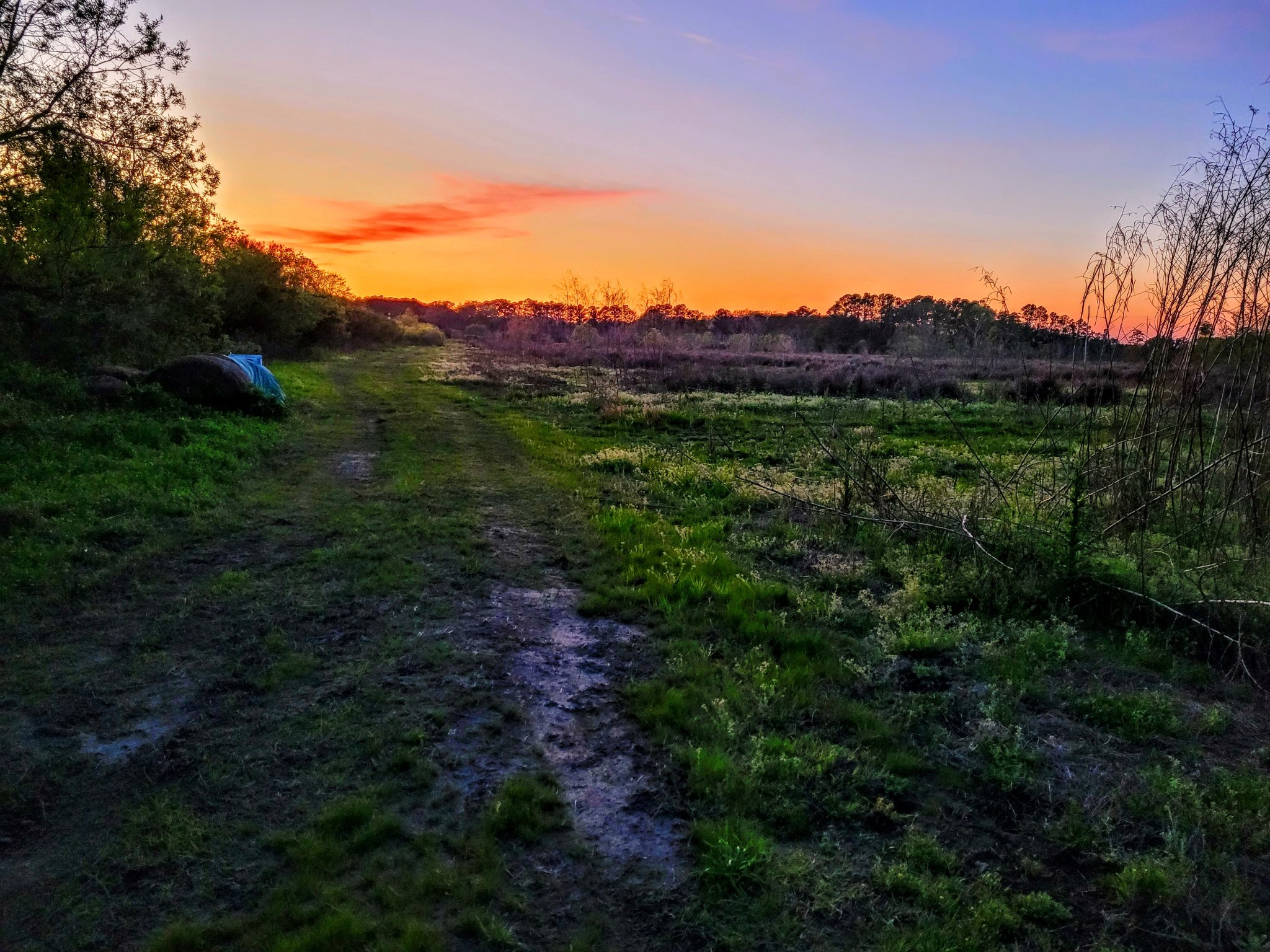 Sunset.jpg
