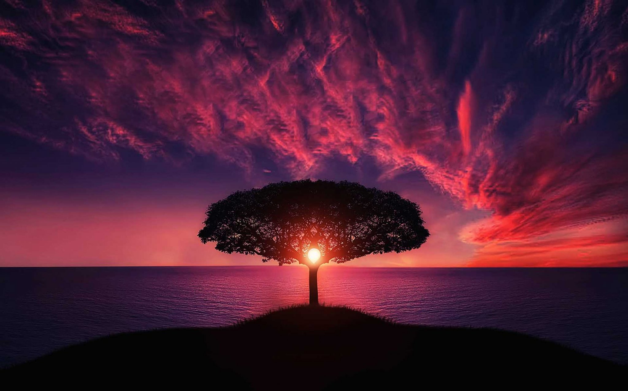sunset ocean tree.jpeg