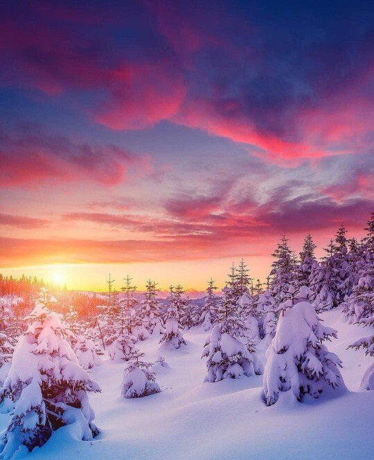 sunset snow.jpg
