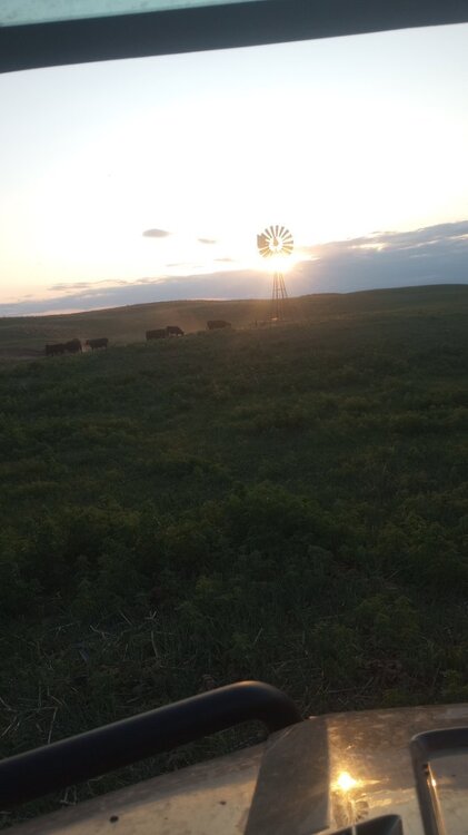 sunset windmill.jpg