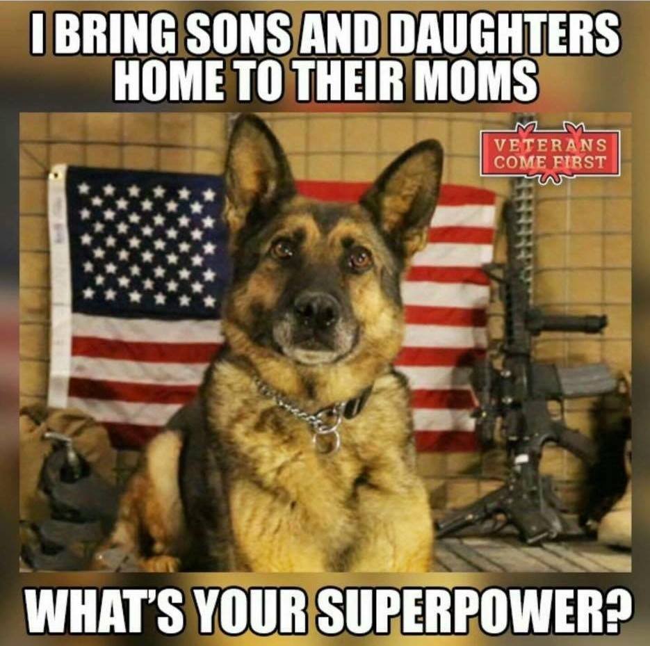 Superdog.jpg