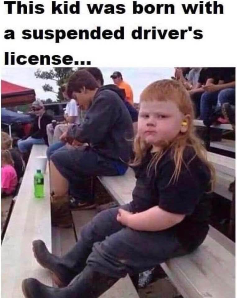SUSPENDED.jpg