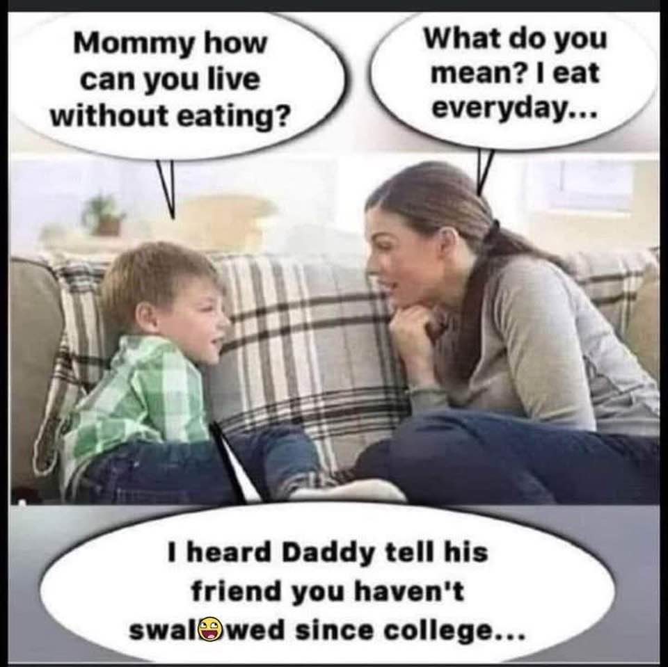 swallow.jpg