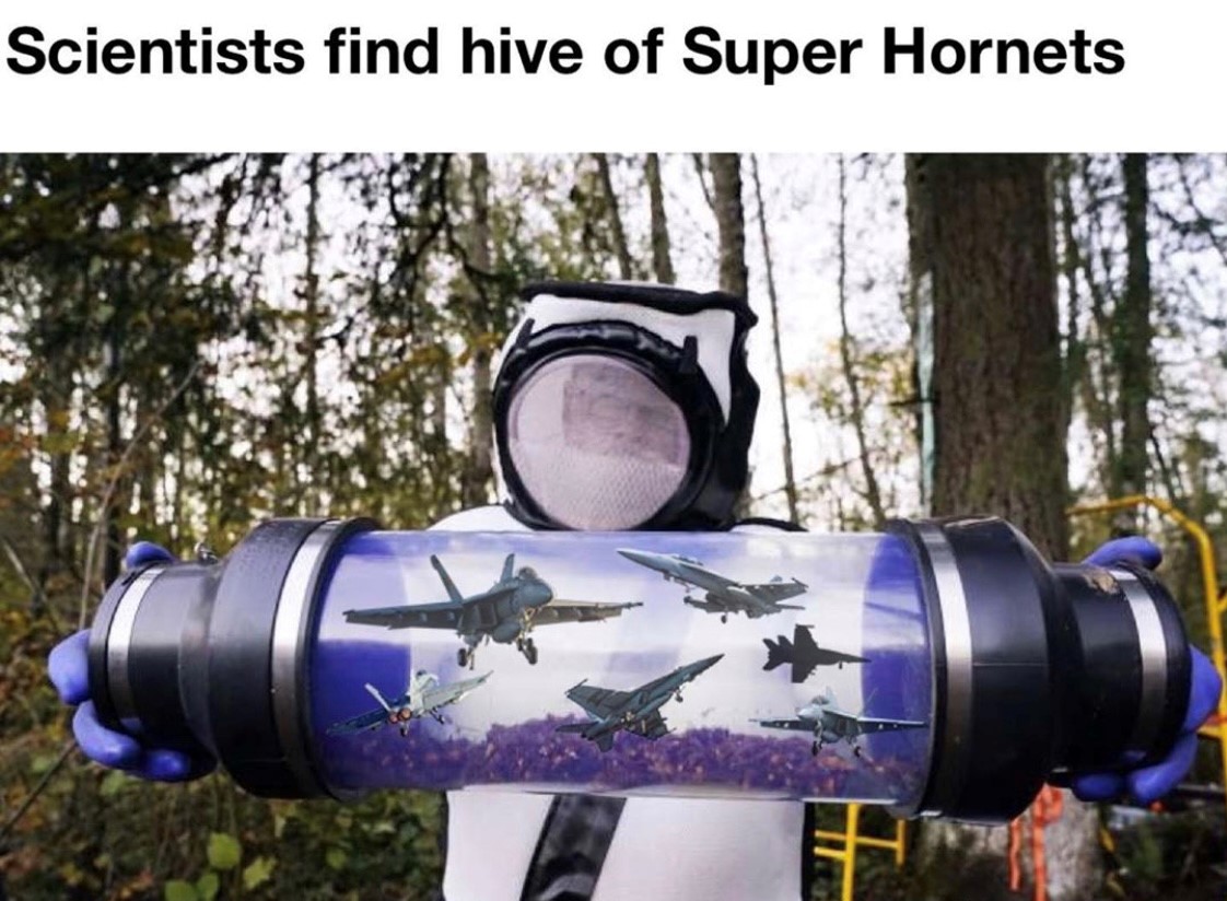 t.jpg