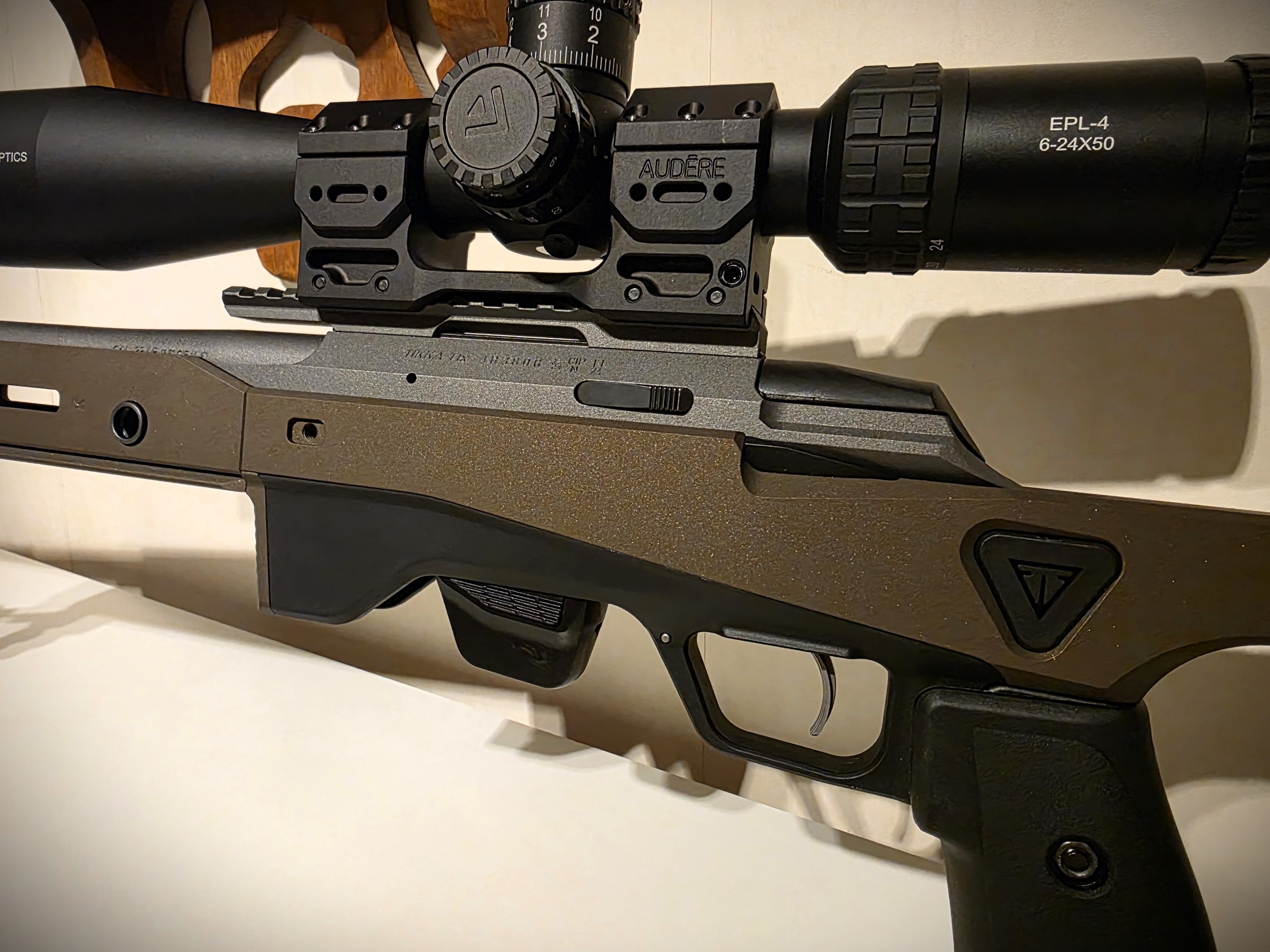 T1xACE_8.jpg