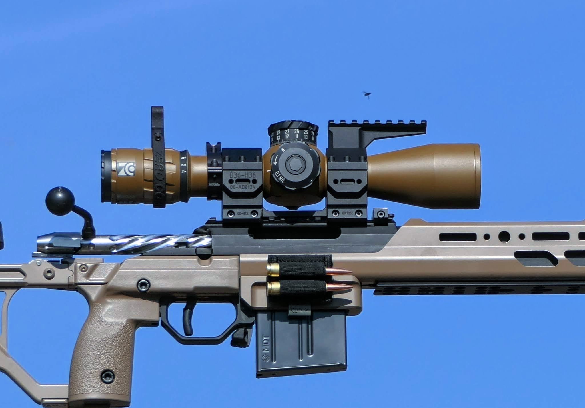 T21.JPG