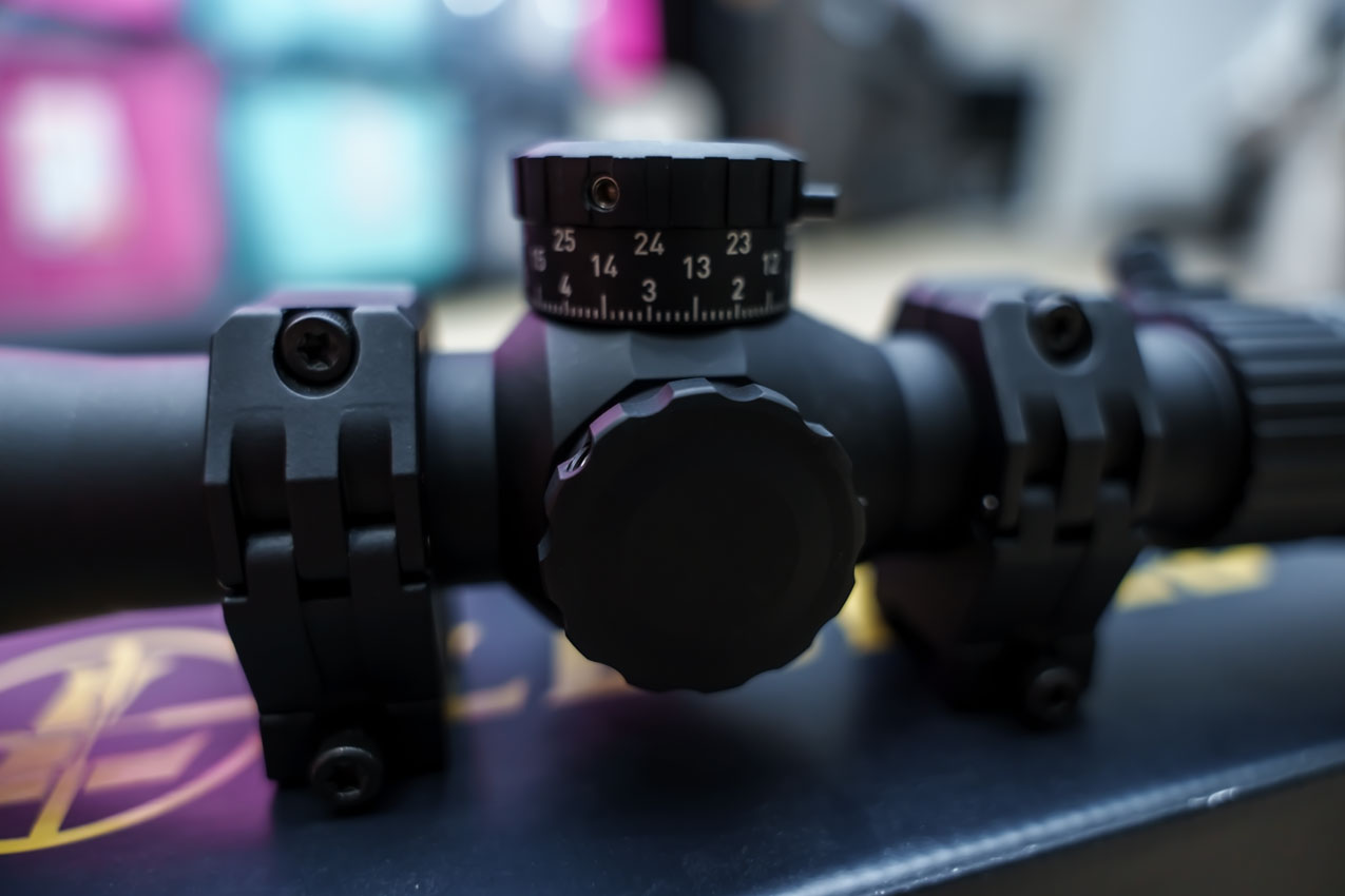 TAP04812.jpg