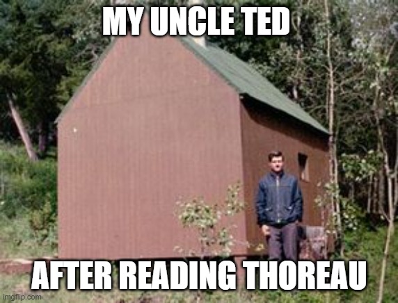 TED.jpg