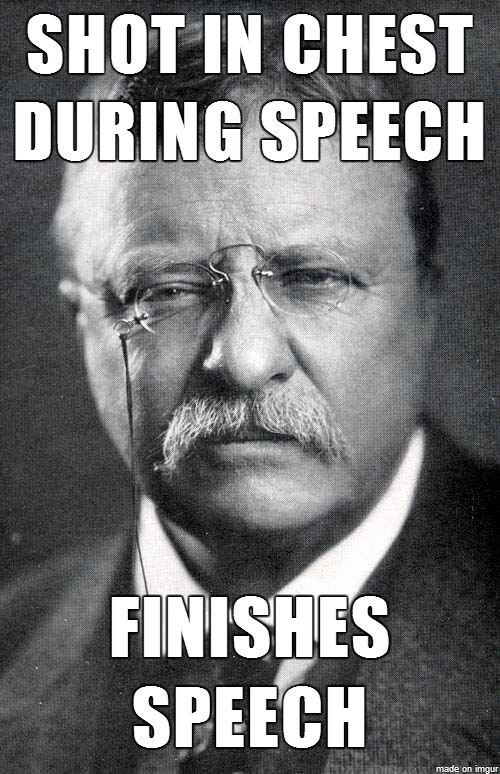 Teddy-Roosevelt-Is-The-Ron-Swanson-Of-Presidents.png