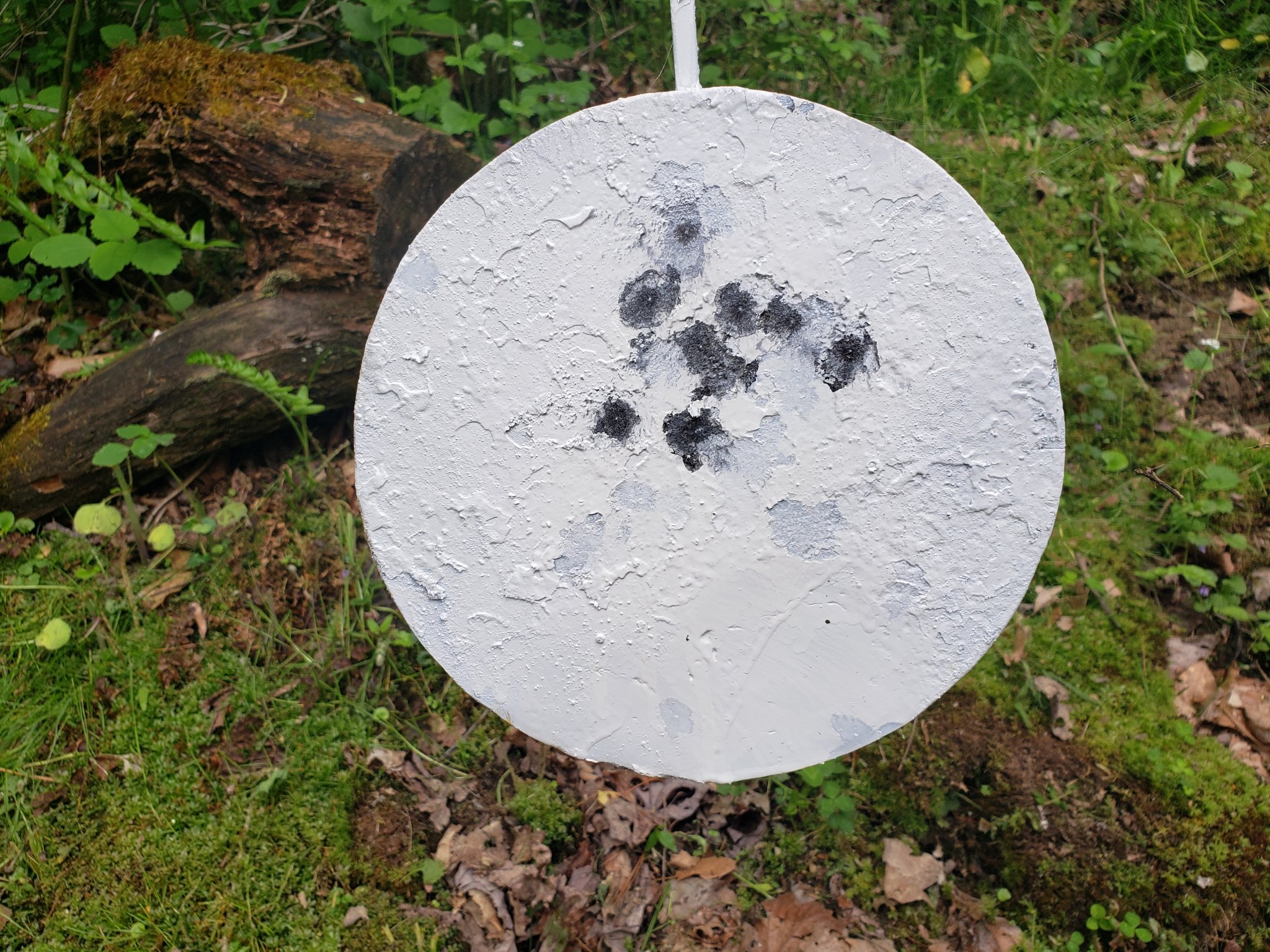 teds peep sight 197 yard target.jpg