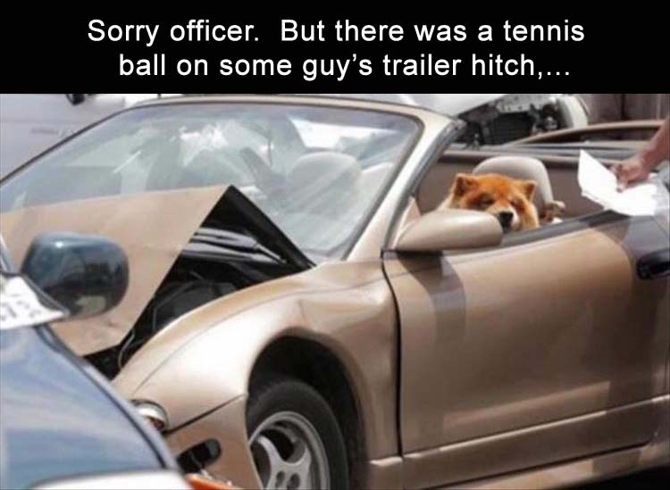 tennis ball.jpeg