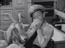 tenor (2).gif