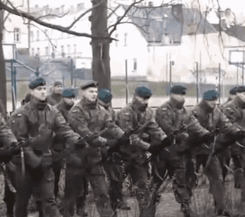 tenor-2.gif