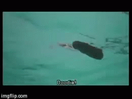 tenor-3.gif