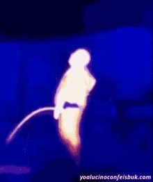 tenor-6.gif