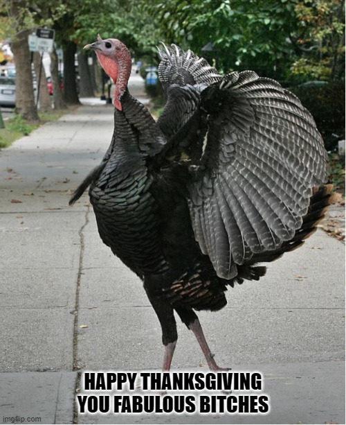 thanksgivinga.jpg