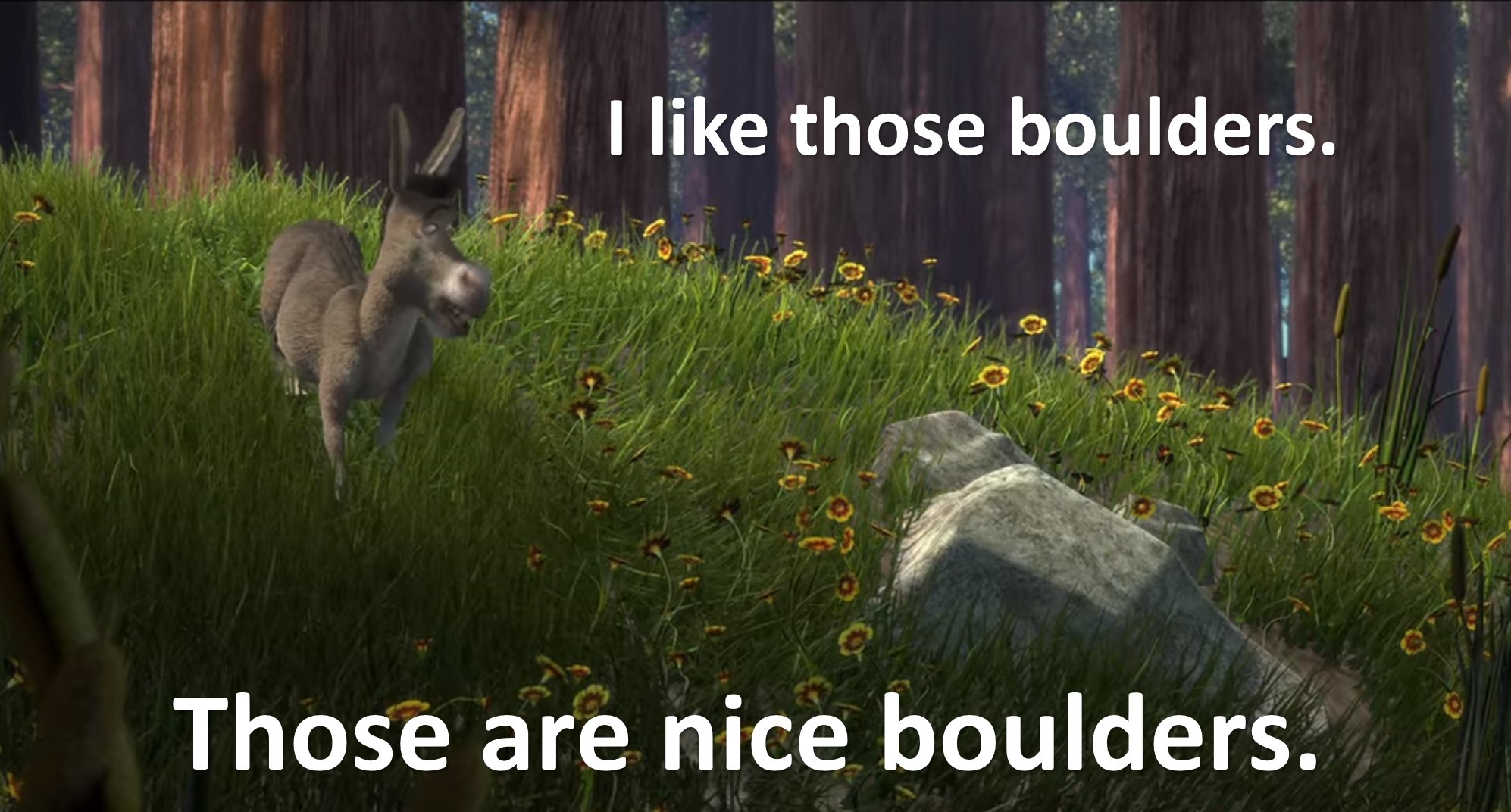 That's a nice boulder.jpg