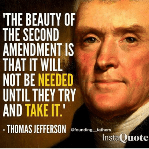 the-beauty-of-the-second-amendment-is-that-it-will-8641289.png
