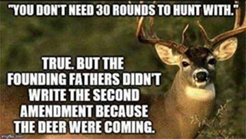 the-deer-are-coming.jpg