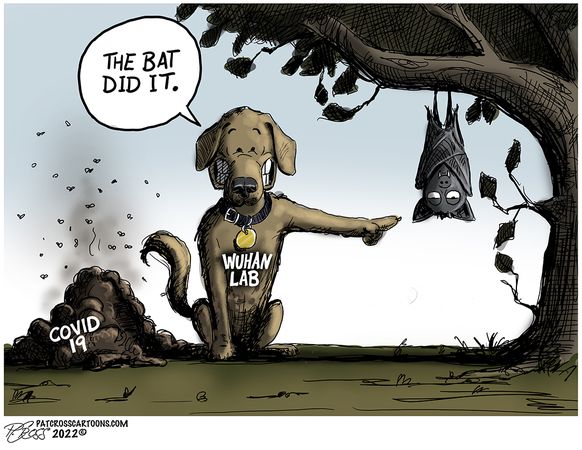 The_Bat_Did_It_Small20220218012430.jpg