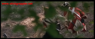 ThePatriot-'Hawk-07-400-sg.gif