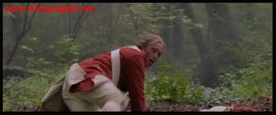 ThePatriot-'Hawk-09-400-sg.gif