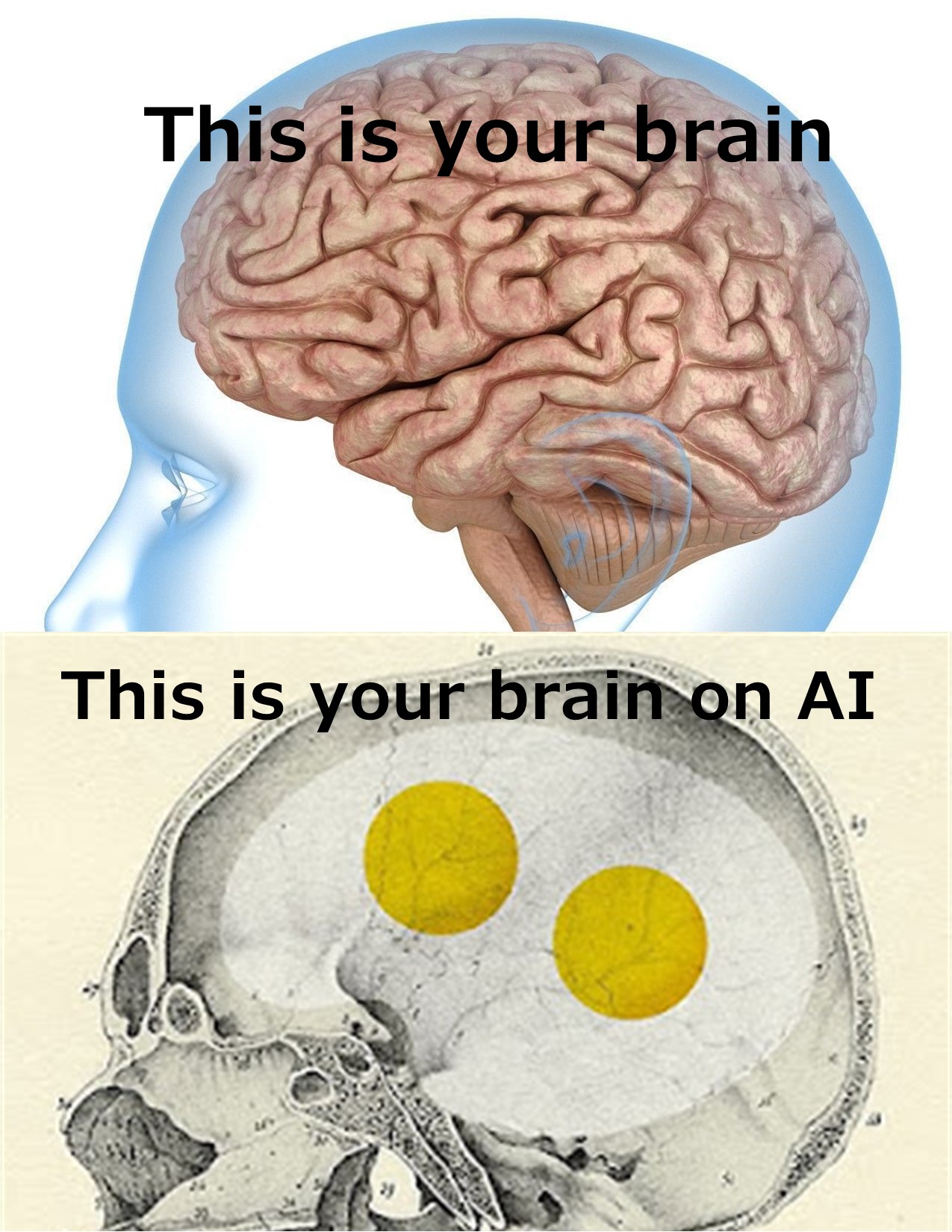 This Is Your Brain.jpg
