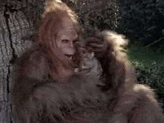ThoseThreadbareIggypops-max-1mb.gif