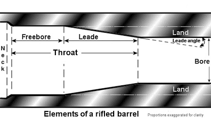 Throat.jpg