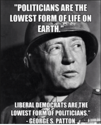 thumb_politicians-are-the-lowest-formof-life-on-earth-liberaldemocratsarethe-lowest-22320695.png