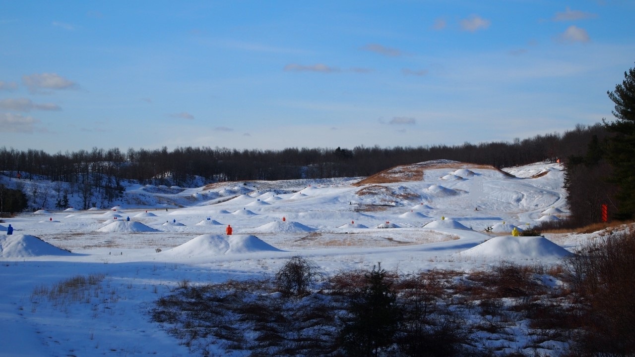 thumbnail_P3118446.jpg