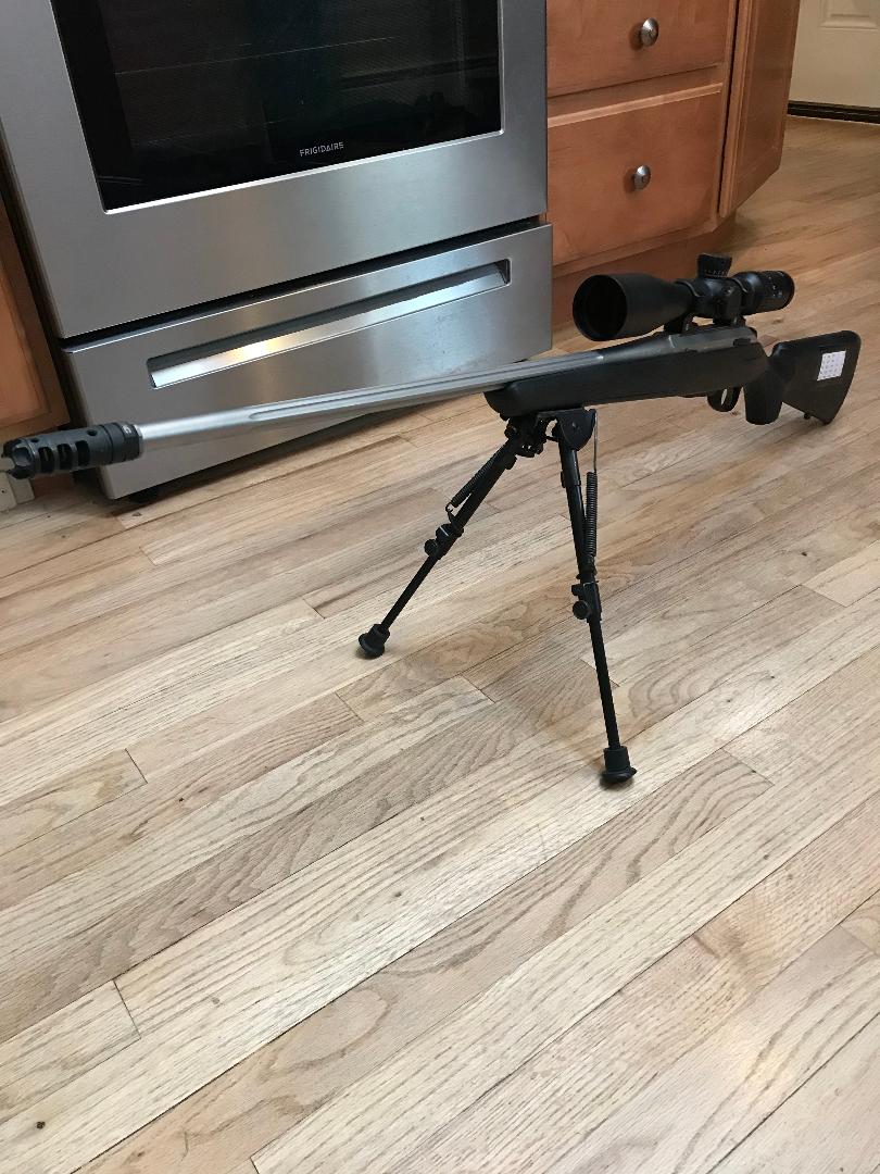 tikka 1.jpg