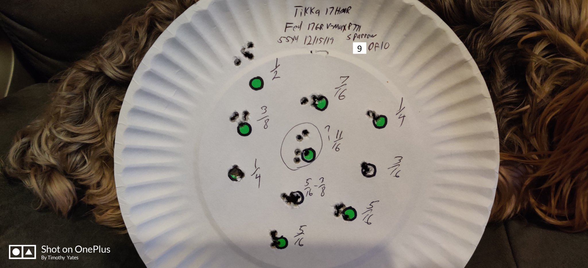 Tikka 17HMR Fed 17 Gr V-Max P771 12-15-19 Sparrow.jpg
