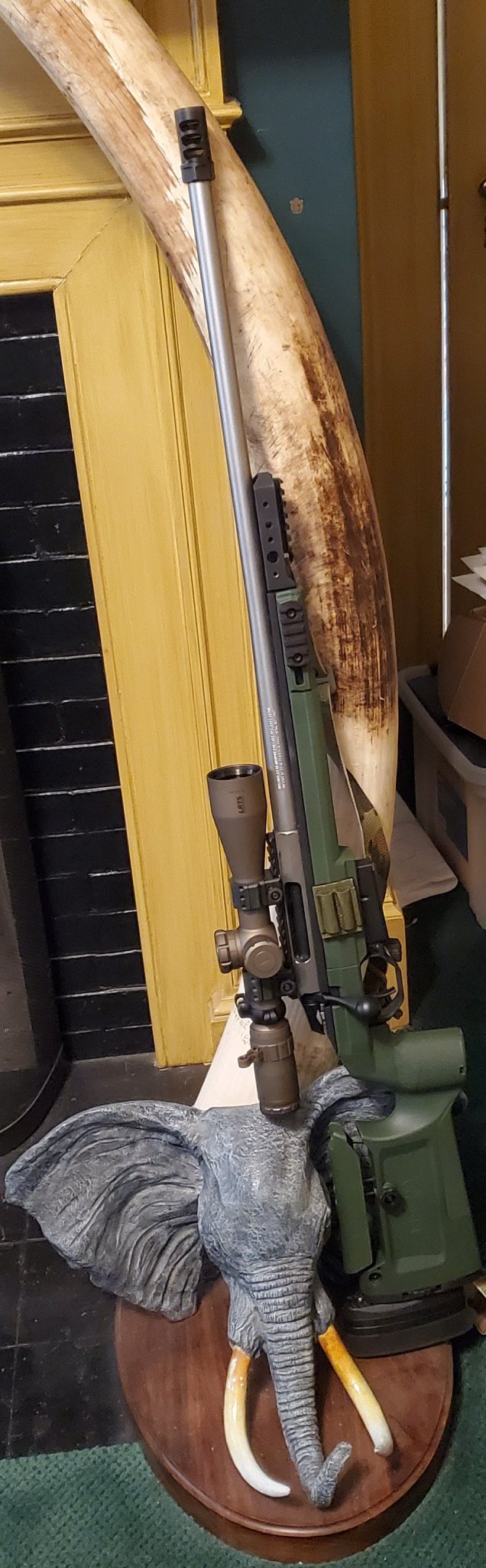 tikka 2.jpg