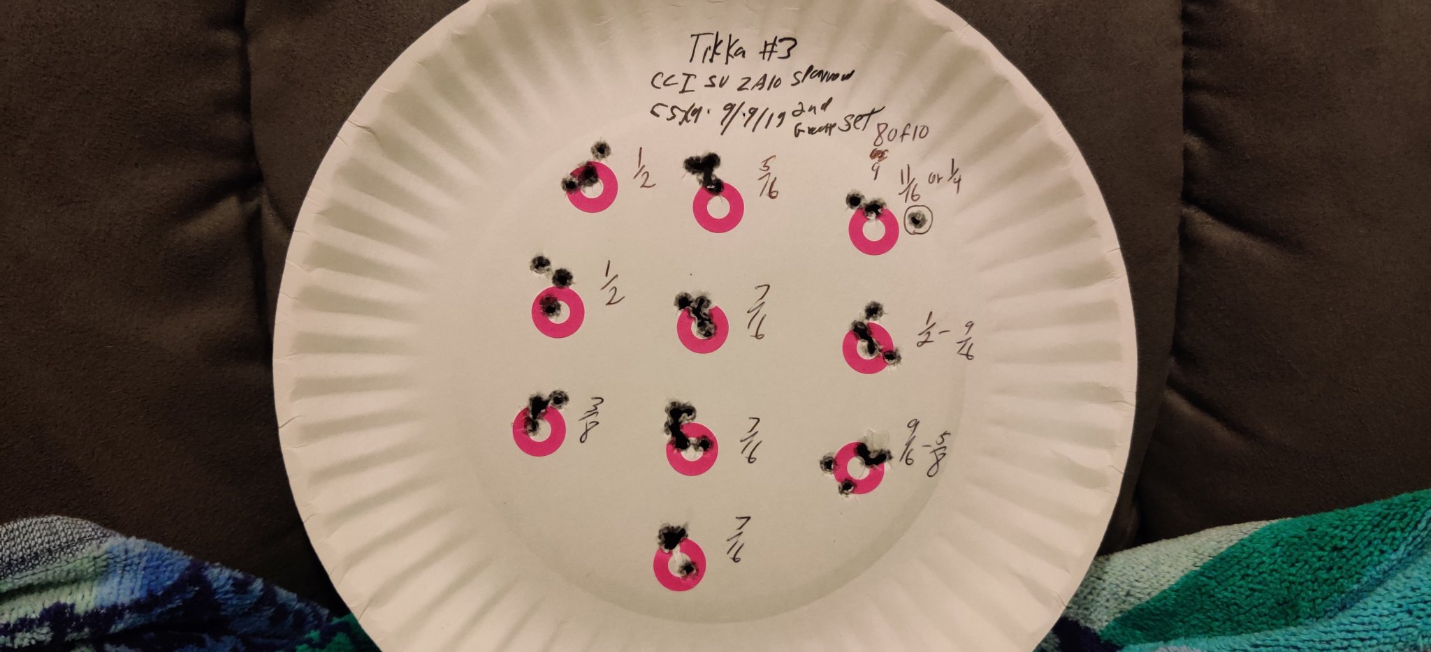 Tikka #3 CCI SV 2nd Sparrow 9-9-19.jpg