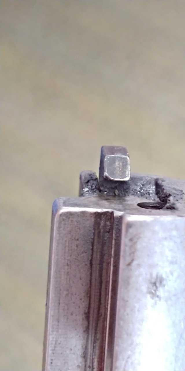 tikka 5.jpg