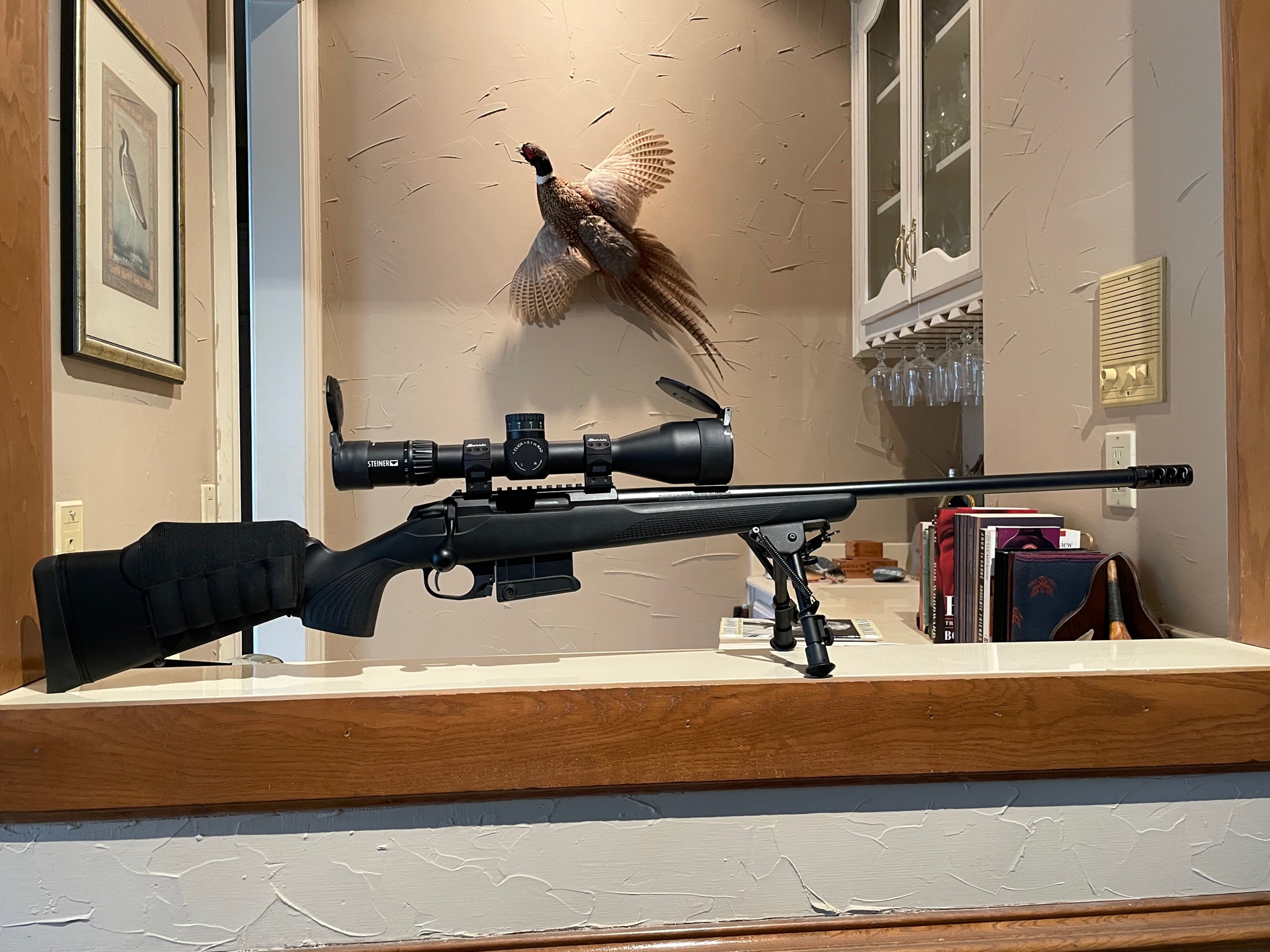 Tikka CTR with cheek riser.jpg