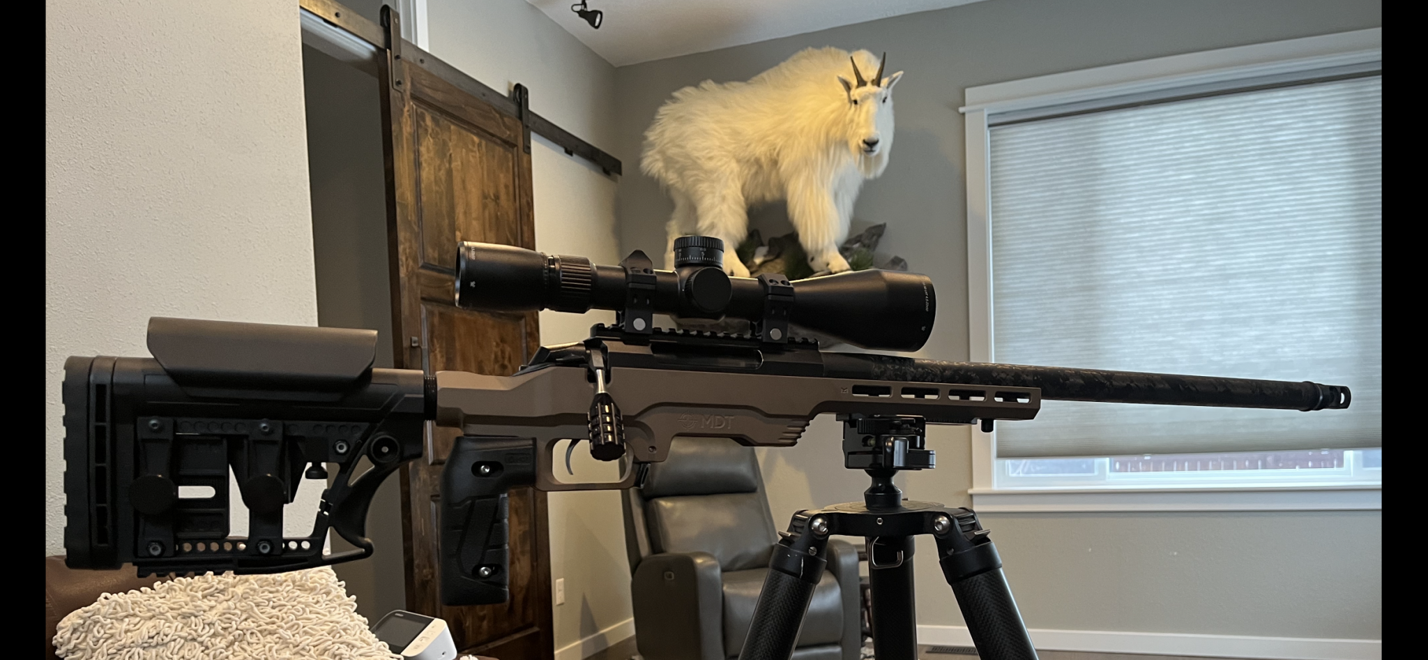 tikka.PNG
