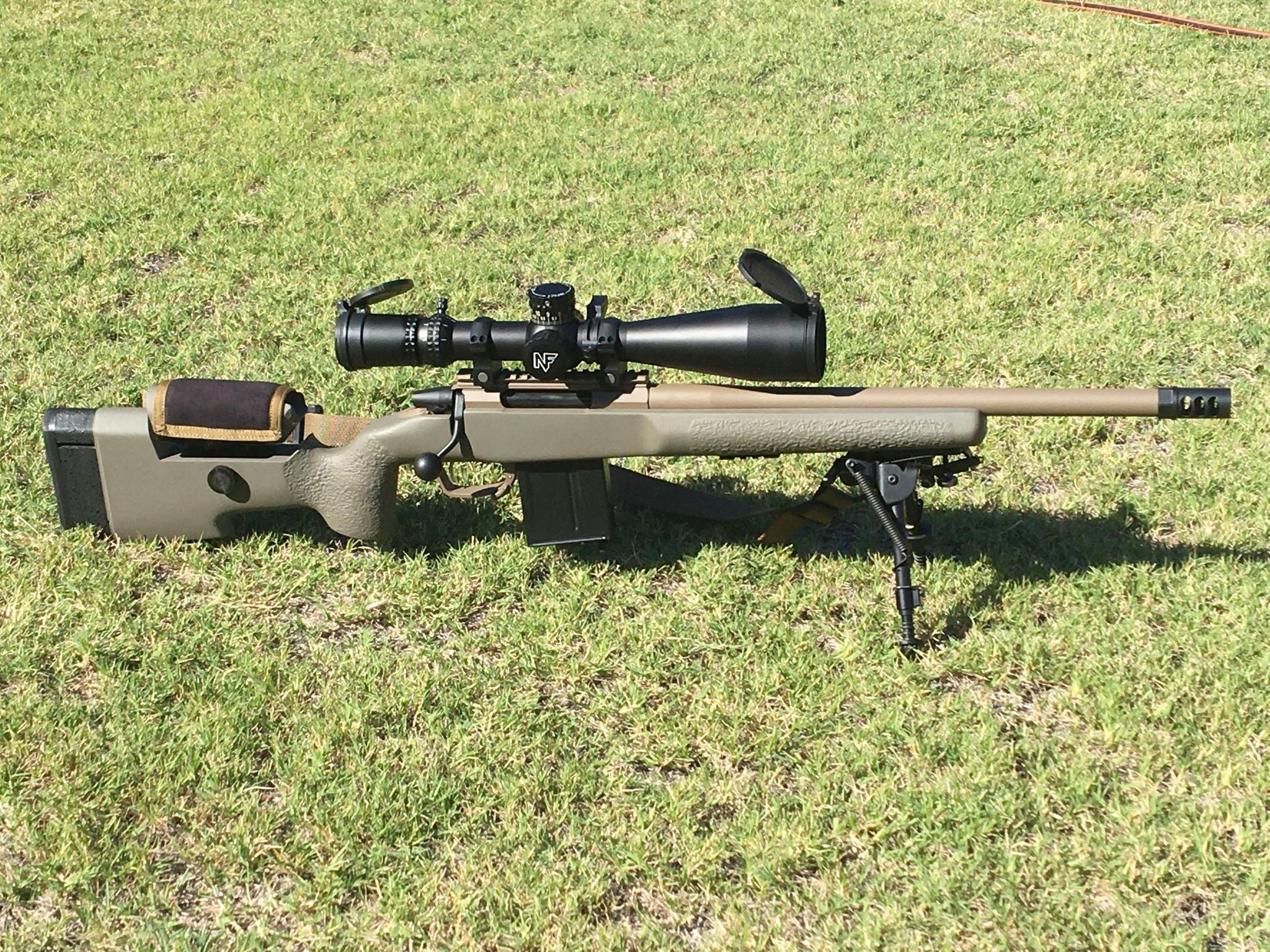 tikka short.jpg