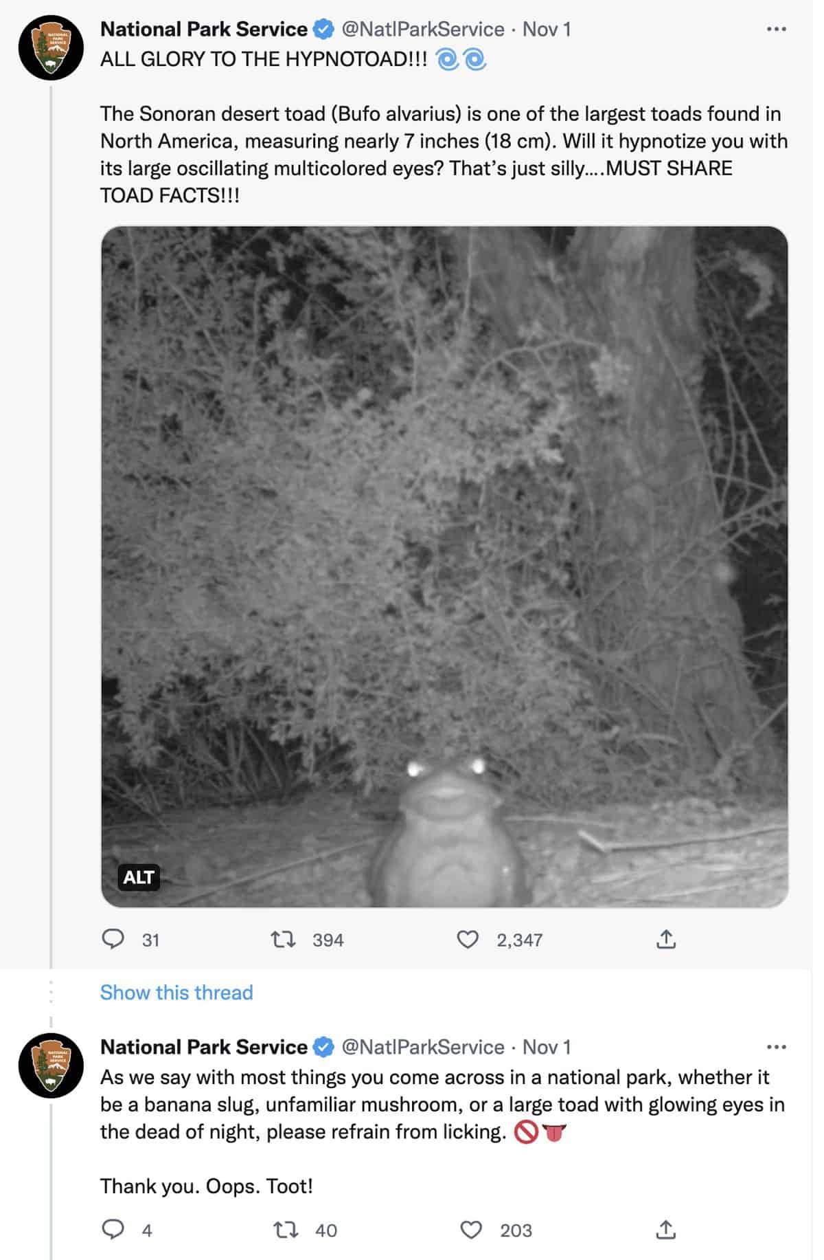 toadtweet.jpg