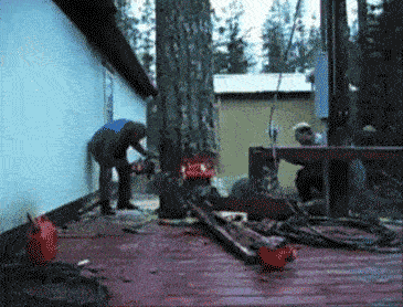 todays-the-day-the-trees-fight-back-x-gifs-8.gif