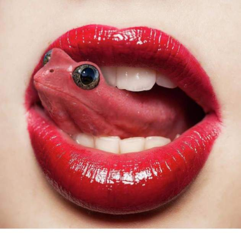 tongue frog.png