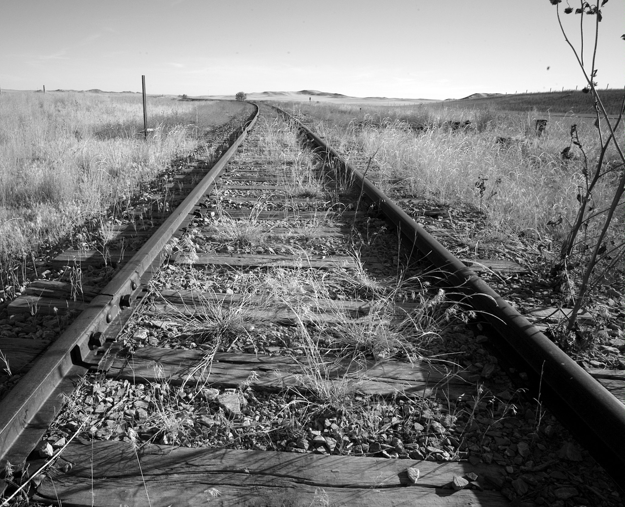 tracks.jpg