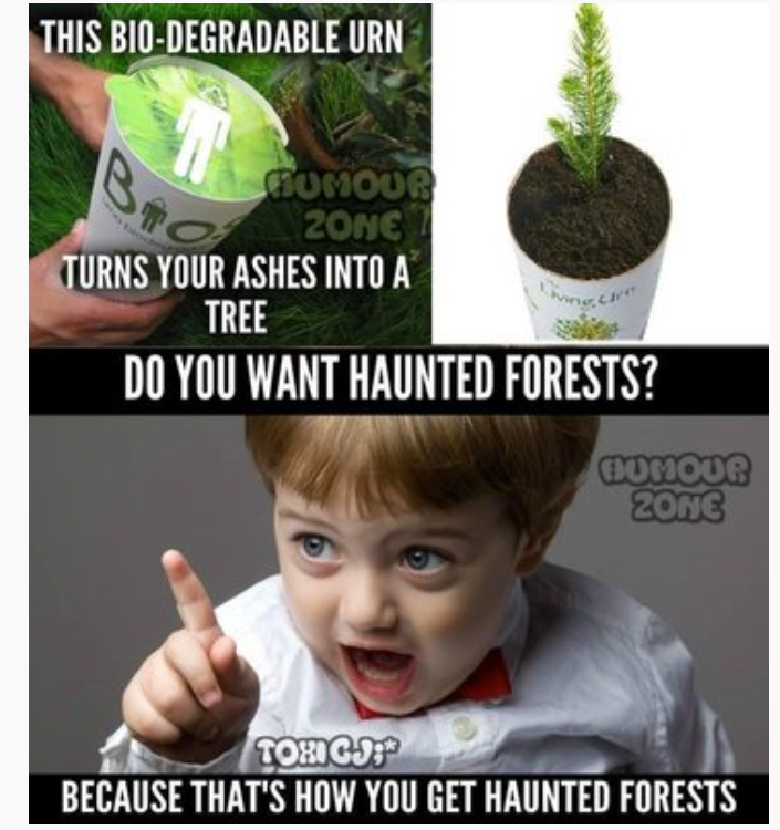 tree (2).png