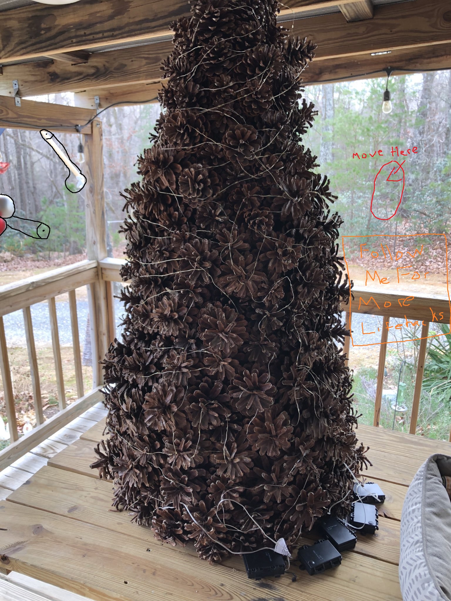 Tree.jpg