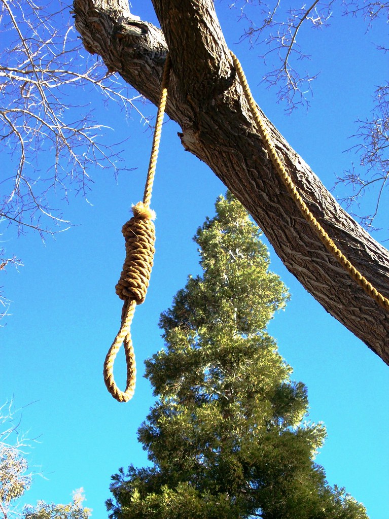 tree3.jpg