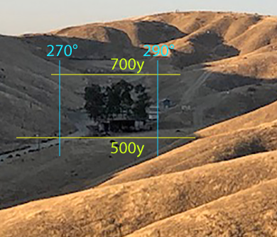 Trees-2az.png